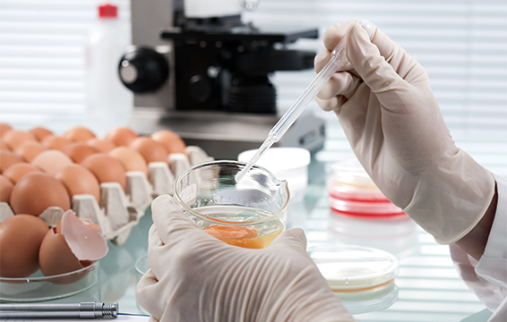 ONL Fraude Alimentario 566x360